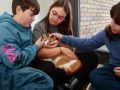 La nueva vida de Eros: un gato que cambió el pulso de la comunidad educativa del colegio Viñagrande de Deiro El gato recibe el cariño del alumnado, profesorado y familias todos los días