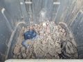 Escombros tirados en los contenedores de O Grove