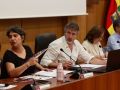 Pleno de los Presupuestos de Vilagarcía