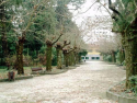 El ideal gallego