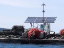 Una cámara de mejillones instalada en una batea de la ría de Arousa