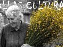 Follas Culturais