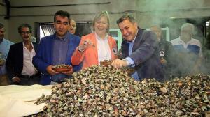 El ideal gallego