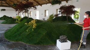 El ideal gallego