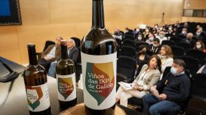 El ideal gallego