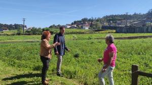 El ideal gallego