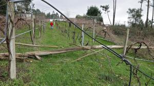 El ideal gallego