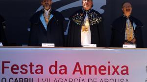 El ideal gallego