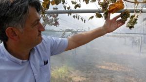 El ideal gallego