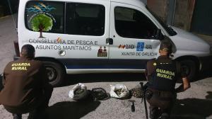 El ideal gallego