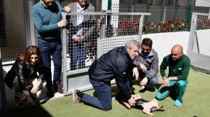 El ideal gallego
