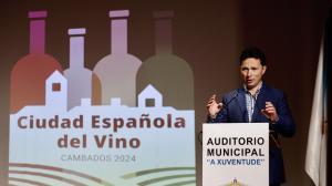 El ideal gallego