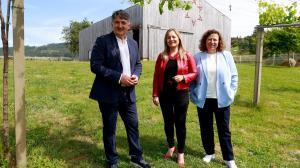 El ideal gallego