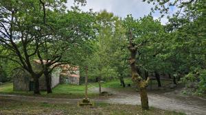 El ideal gallego