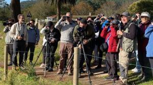 Birdlife entrevista