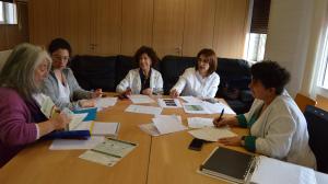 Una anterior reunión de la comisión sanxenxina