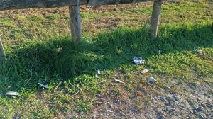 Basura en el área tras la realización de la actividad deportiva