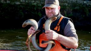 Los valeiros ya están en el Ulla en busca de la lamprea