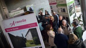 Queda inaugurada la exposición ‘A camelia, flor de galegos e galegas’