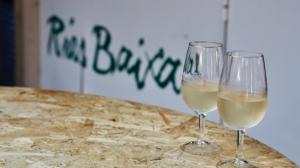 Dos copas de vino en la Festa do Albariño, uno de los hitos promocionales de la denominación de origen