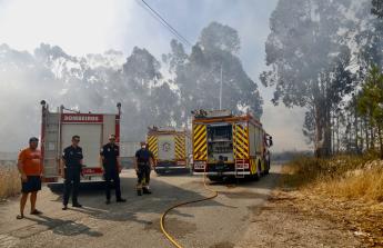 Incendio forestal