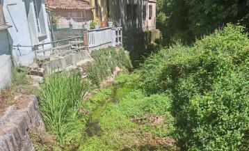 El ideal gallego