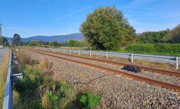Las vías del tren