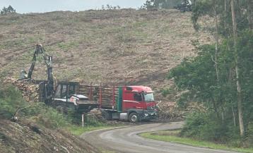 Imágenes aportadas por la asociación Fulgor do Monte Faro de Sanxenxo