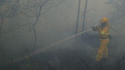 O Salnés asediado por el terrorismo incendiario