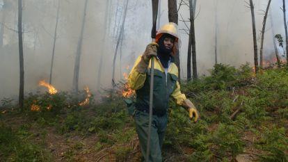 O Salnés asediado por el terrorismo incendiario