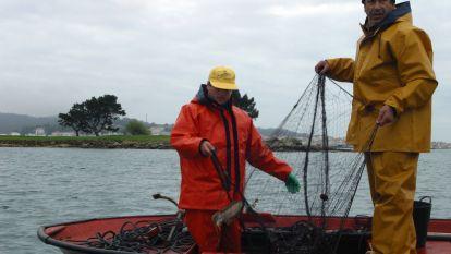 Mariscadoras y marineros vuelven a faenar tras tres meses del Prestige. Iñaki Abella