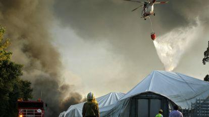 Un devastador incendio arrasa la nave de la fábrica cordelera Chicolino. Gonzalo Salgado