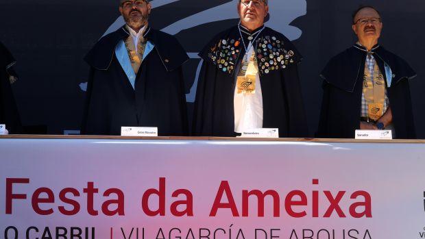 El ideal gallego