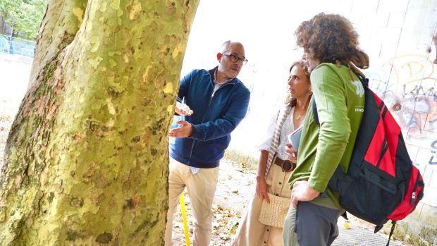 El ideal gallego