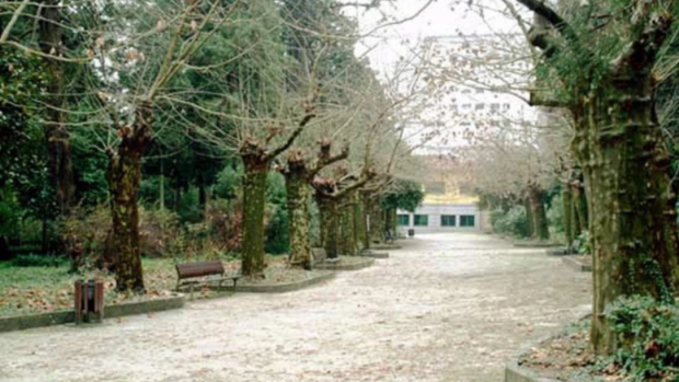 El ideal gallego