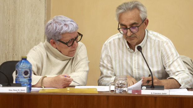 Grupo municipal del BNG de Vilagarcía