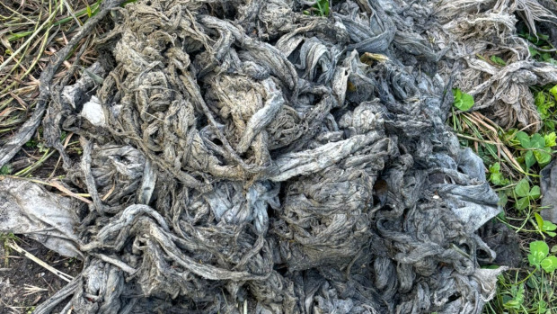 Residuos y materiales no biodegradables recogidos en Valga