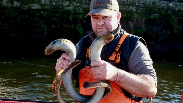 Los valeiros ya están en el Ulla en busca de la lamprea