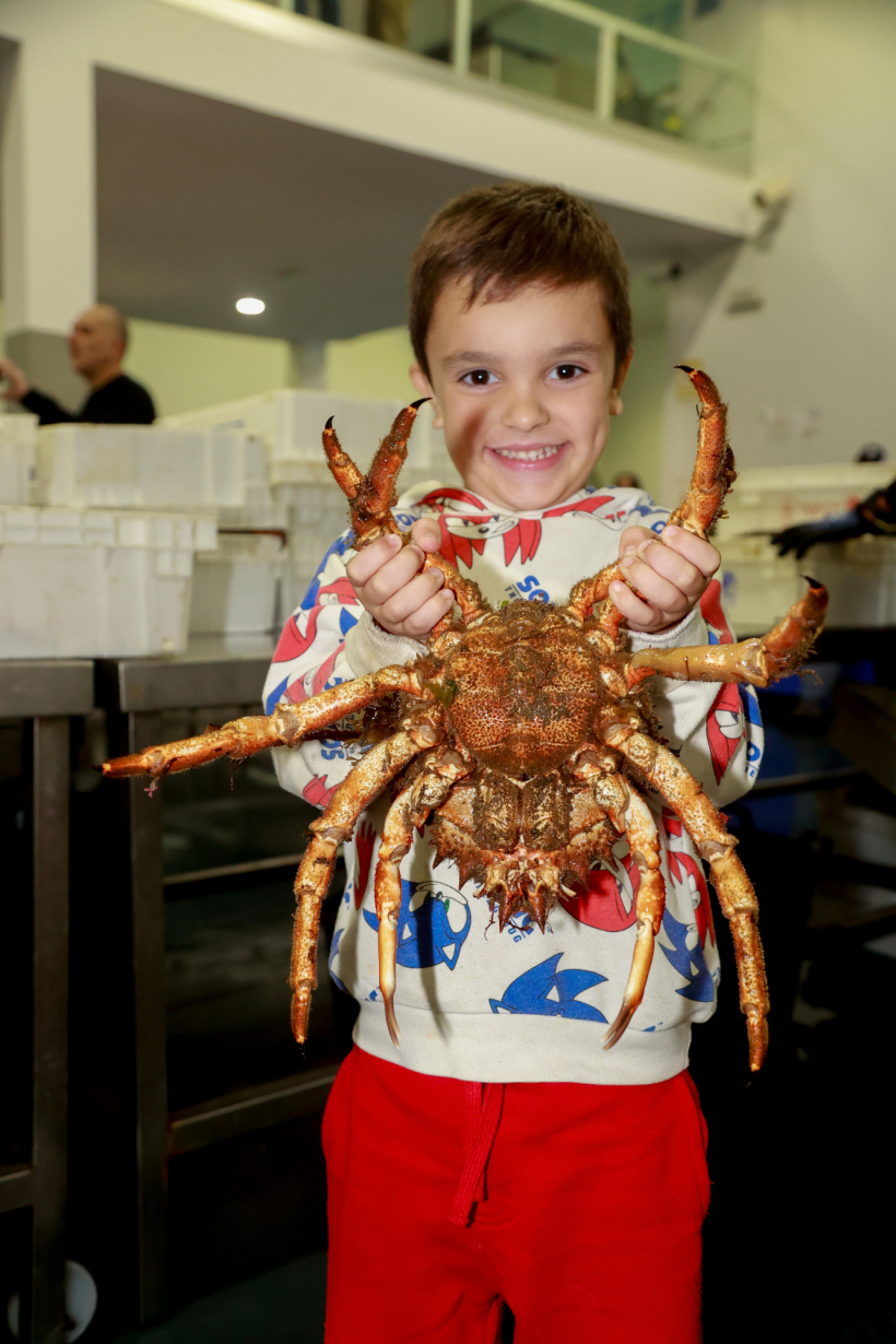 primeras centollas de O Grove