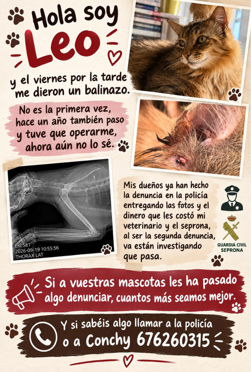 Carteles que pondrán en la zona