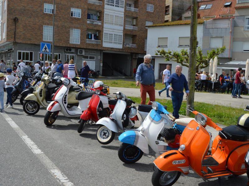 Concentracion vespa raiada portonovo