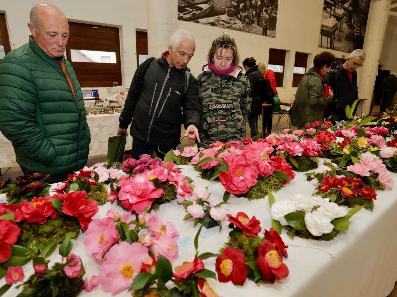 Asistentes a la Mostra da Camelia de Cambados