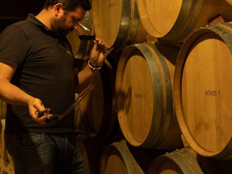Bodegas La Celestina21