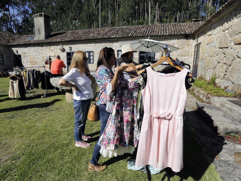 Mercadillo pazo la saleta árbol Metasequoia Glyptostroboides peligro extinción