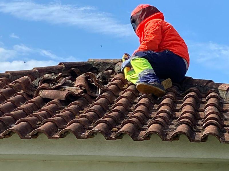 Retirada velutina tejado servicio mancomunidade do salnés