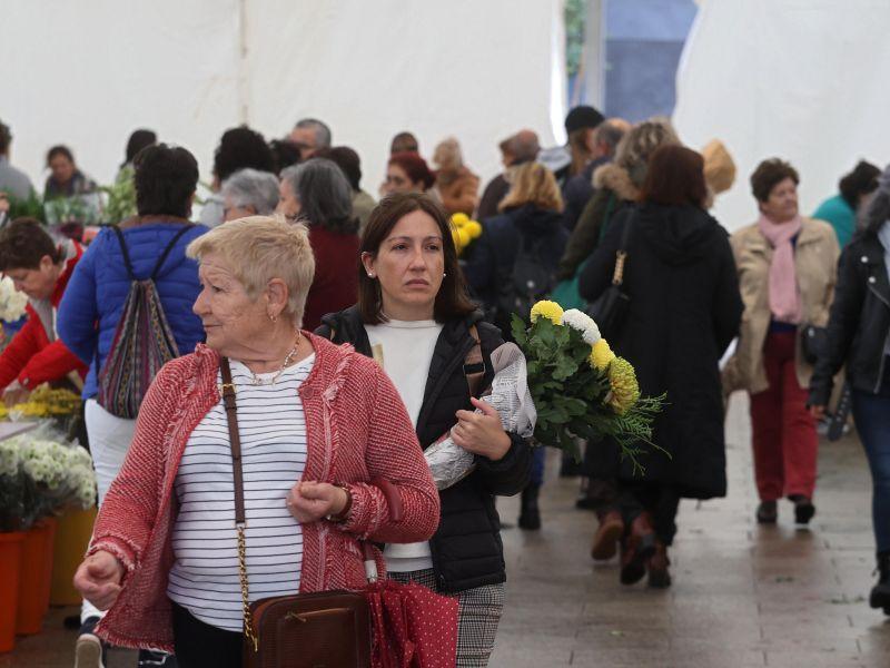 Mucha gente carpa