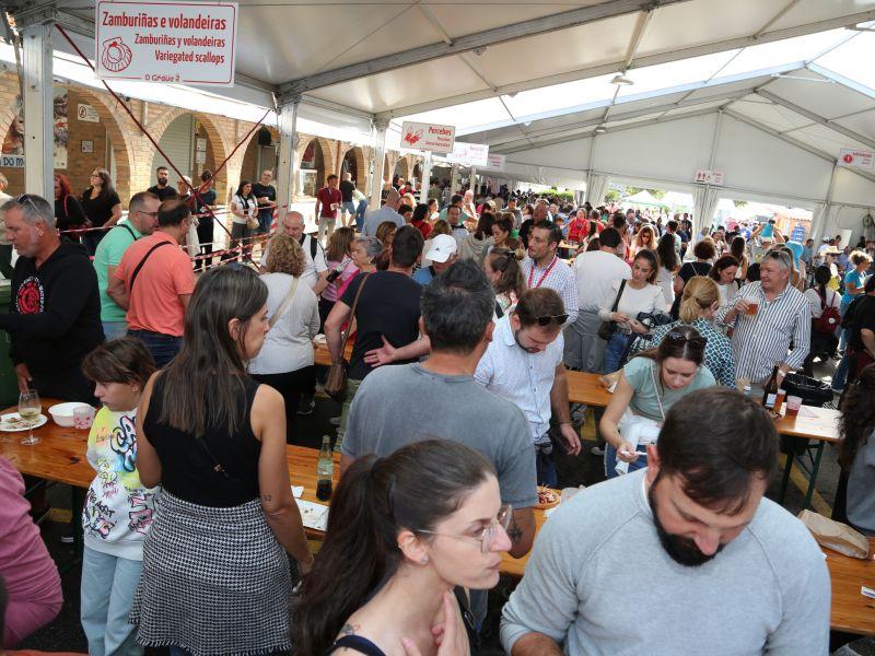 Festa do marisco 
