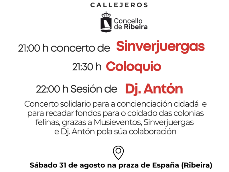 Concerto solidario