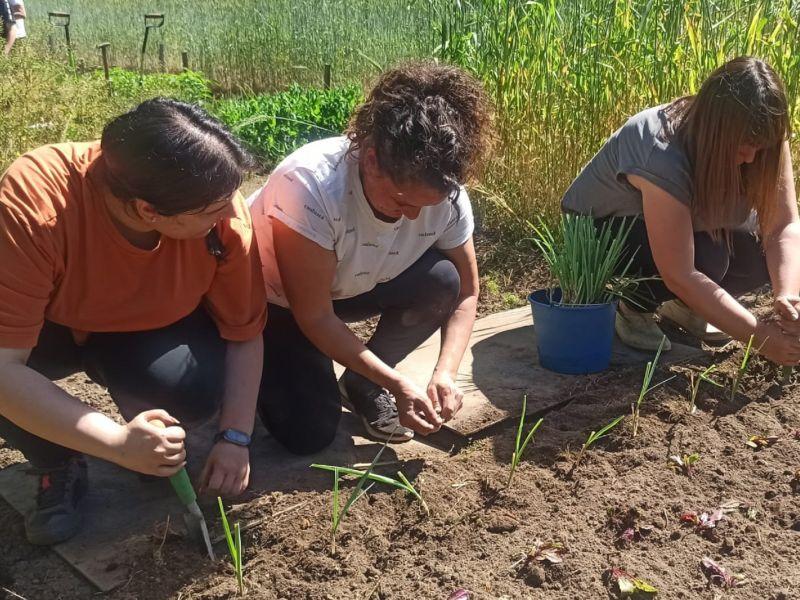 Curso cultivo biointensivo plan emprego mancomunidade do salnés