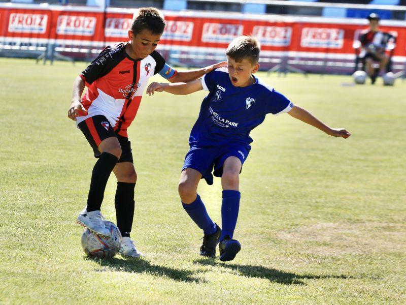 Torneo